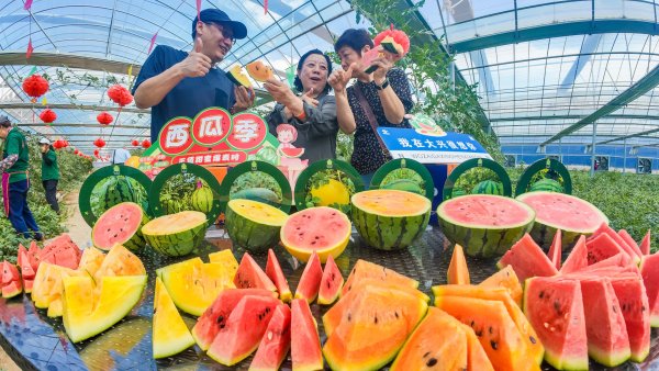 股票配资靠谱公司 永定河畔，多彩大兴西瓜迎夏日