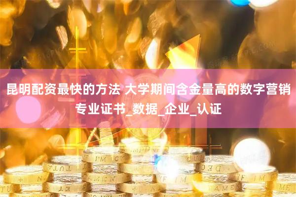 昆明配资最快的方法 大学期间含金量高的数字营销专业证书_数据_企业_认证