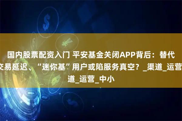 国内股票配资入门 平安基金关闭APP背后：替代通道交易延迟、“迷你基”用户或陷服务真空？_渠道_运营_中小