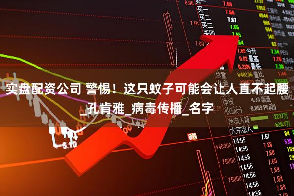 实盘配资公司 警惕！这只蚊子可能会让人直不起腰_孔肯雅_病毒传播_名字